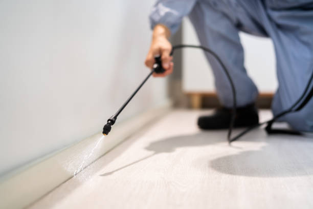 Licensed Pest Control service in St. Petersburg, FL - Show Me Pest Control