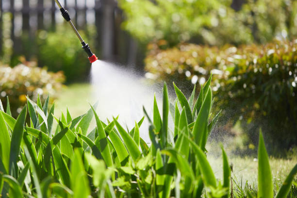 24/7 Emergency Mosquito Control experts in St. Petersburg, FL