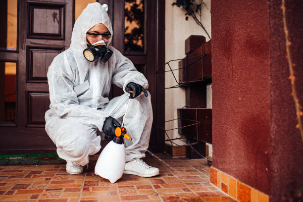 Reliable Mosquito Control contractor in St. Petersburg, FL by Show Me Pest Control
