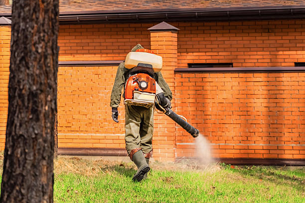Top rated local Mosquito Control specialists in St. Petersburg, FL